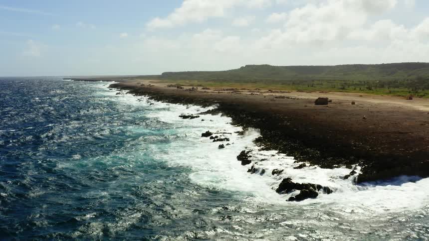 Ocean waves crash on shoreline stretching to the horizon