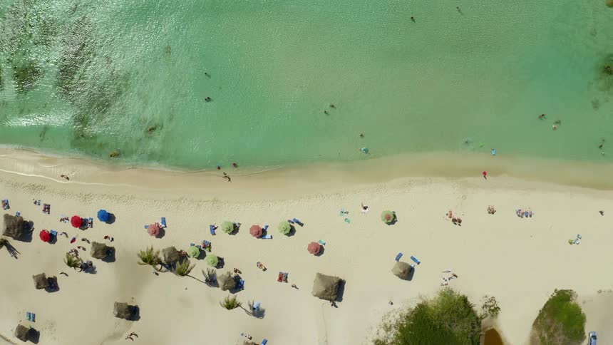 People and umbrellas on a sandy beach on a summer day