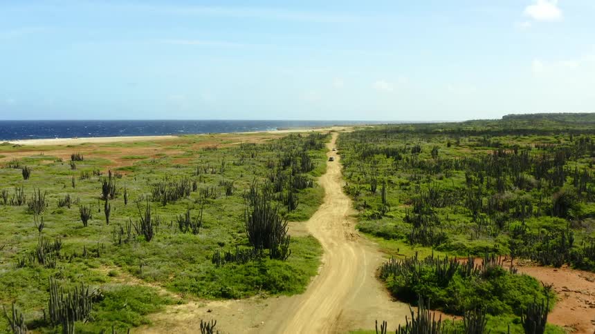 A pair of vehicles travel down a dirt road through a shrubland bordering the ocean during the day