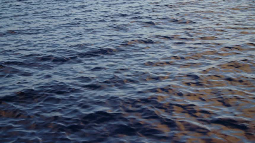Waves are moving on the ocean