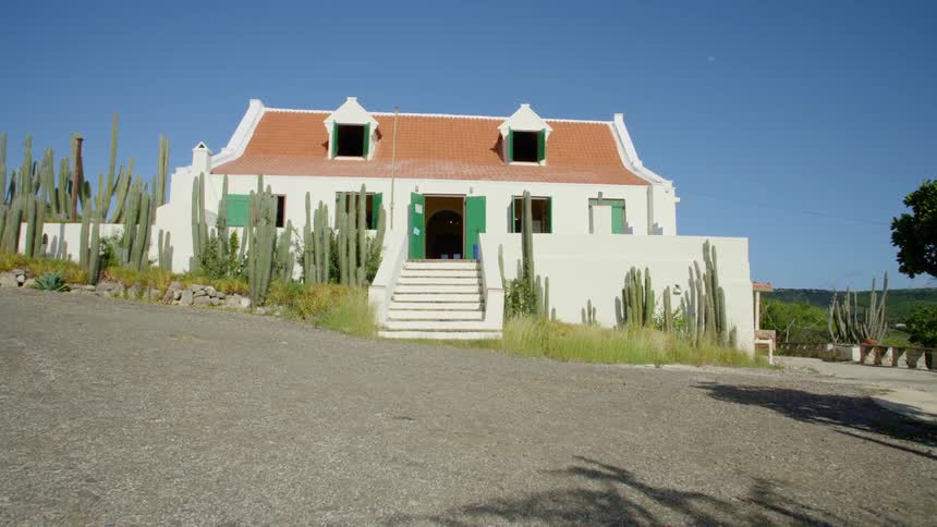 Adobe house painted with white green and rust red has yard full of cacti