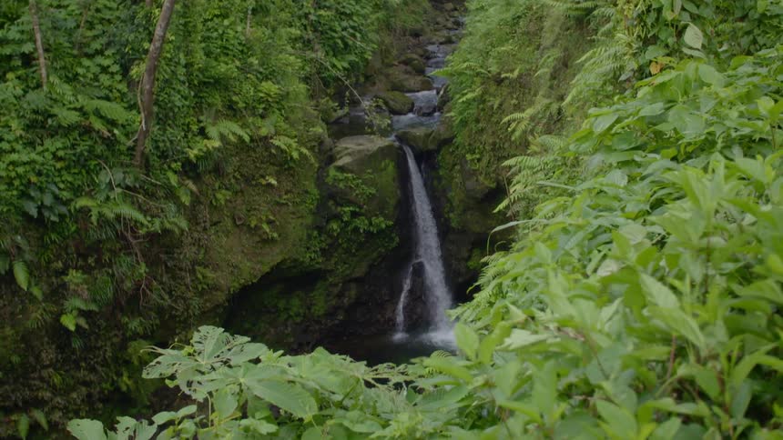 An aerial view of a rainforest and waterfall is displayed