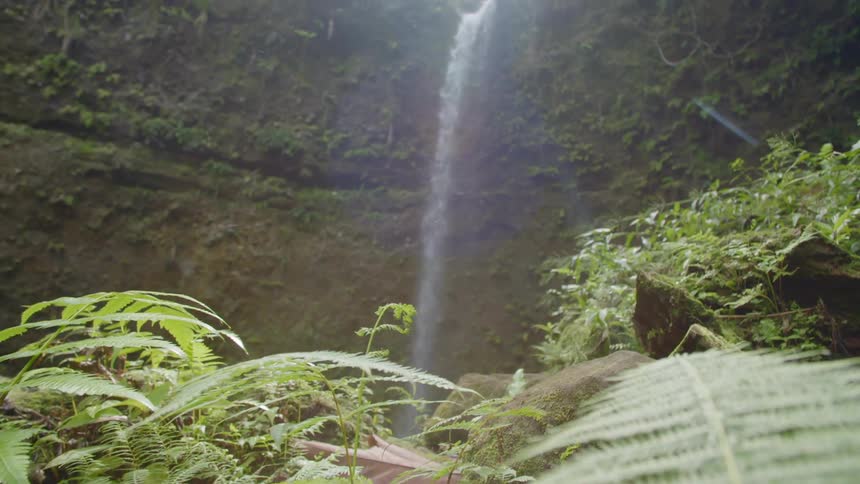 A waterfall is flowing in a tropical area