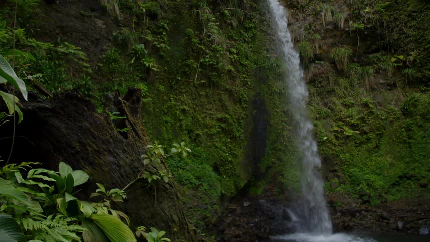 A waterfall in a tropical area with a river