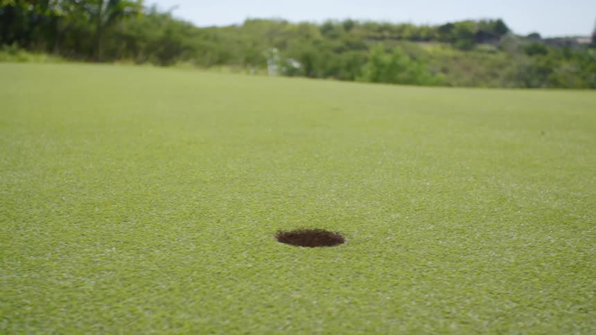 Golf ball rolls over the grass and plunges into a hole on the golf course