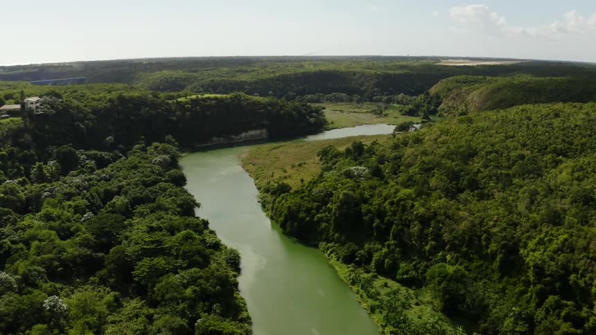 A green river runs through a thick forest on a sunny day