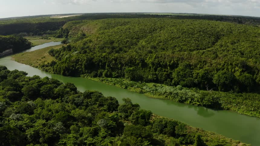 An aerial view of a forest next to a river is displayed