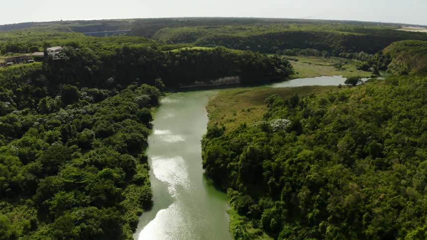 An aerial view of a river running through a forest