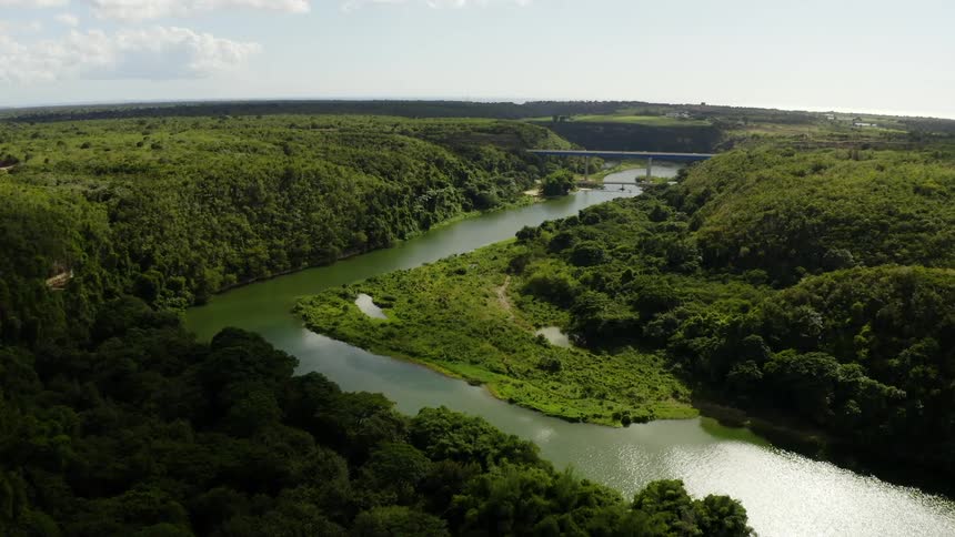 An aerial view of a river in nature on a summer day