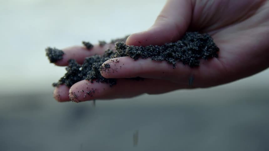 A person holding sand in their hand on a beach