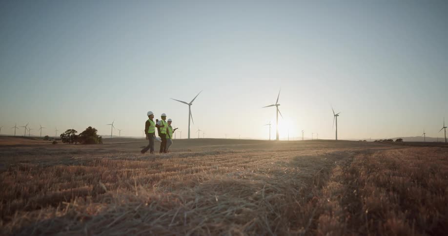 A small group of people in hard hats and safety vests walk through a field of wind turbines during the day