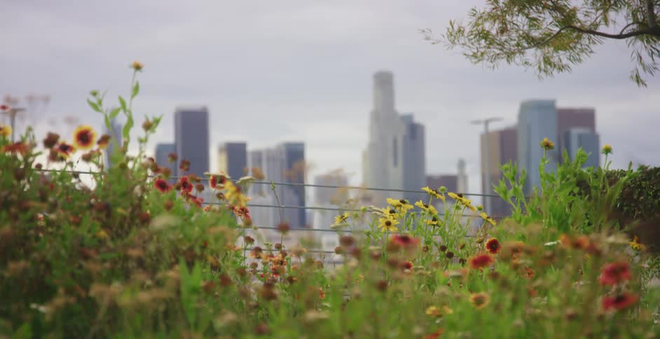 A view of a city skyline is displayed