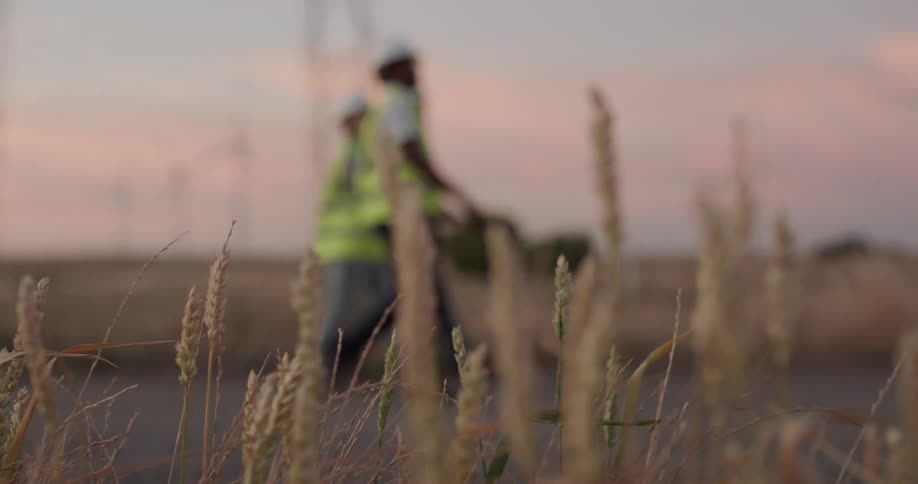 Supervisors wearing white hardhats and green vests walk on a gravel road next to wind turbines at sunset