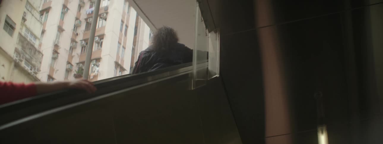 Two people ride up an escalator near some windows