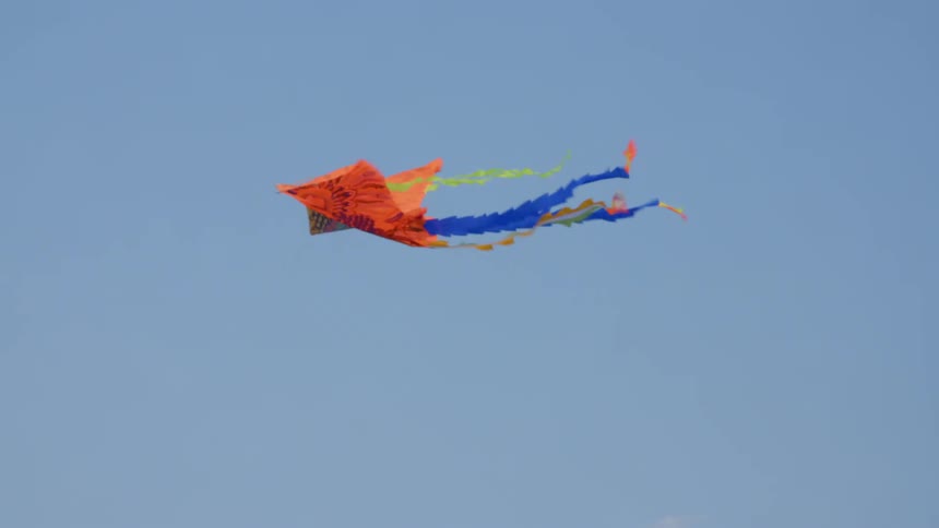 A kite flying in the sky