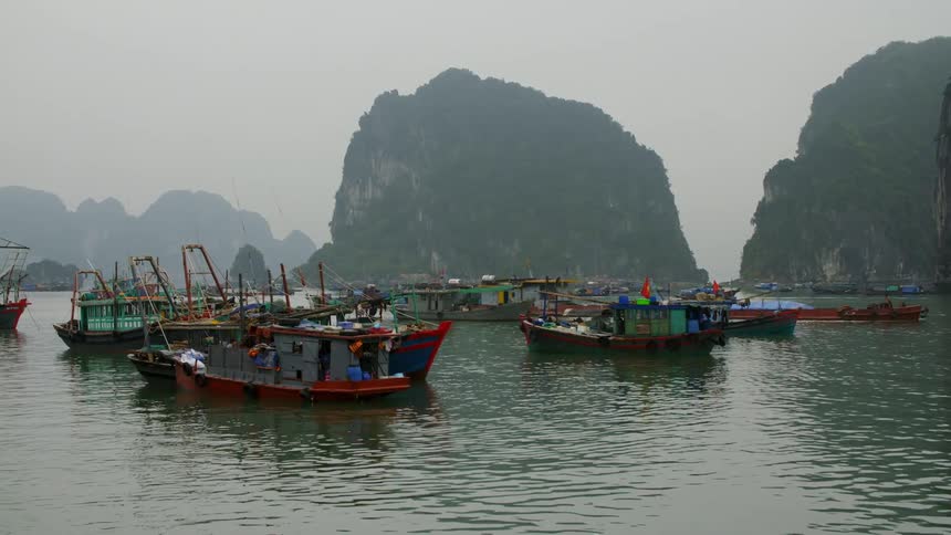 Boats docked in the water