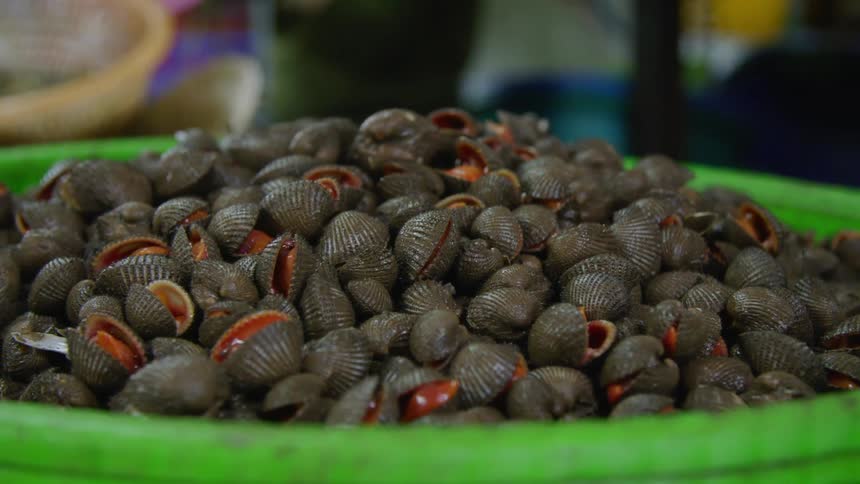 A green basket full of clams