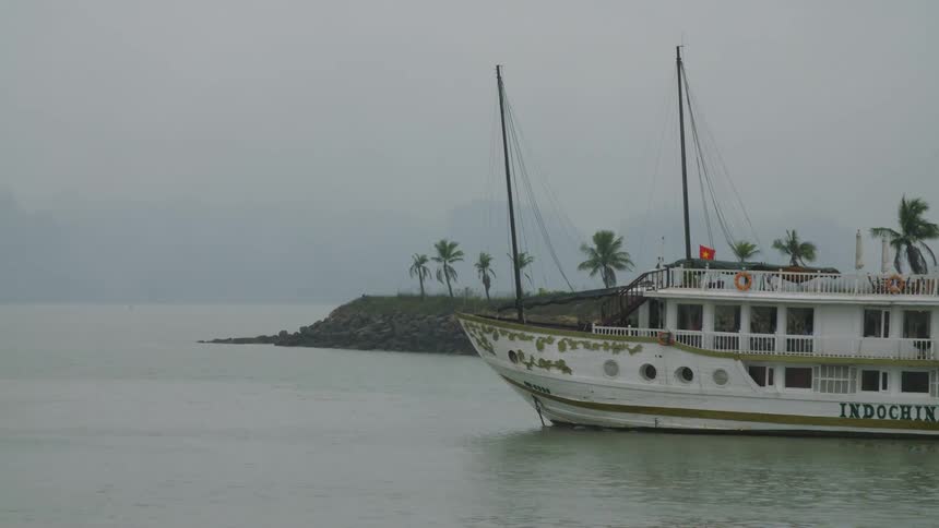 A ferry boat floats near land with palm trees on a cloudy gray day