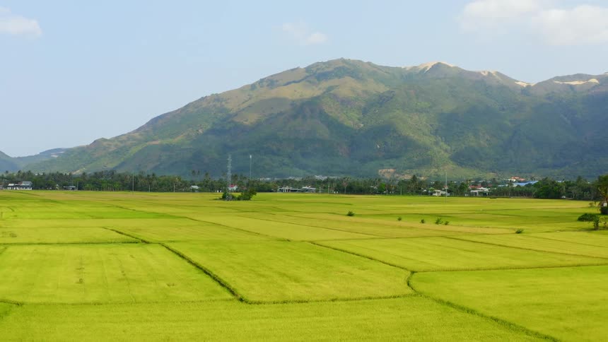 Aerial view of farmland with a mountain in the back ground