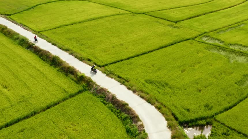Motorcyclist ride their motorcycles along a narrow road between fields in a farmland during the day