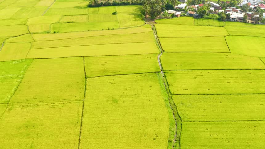 A large field of grass and crops near houses