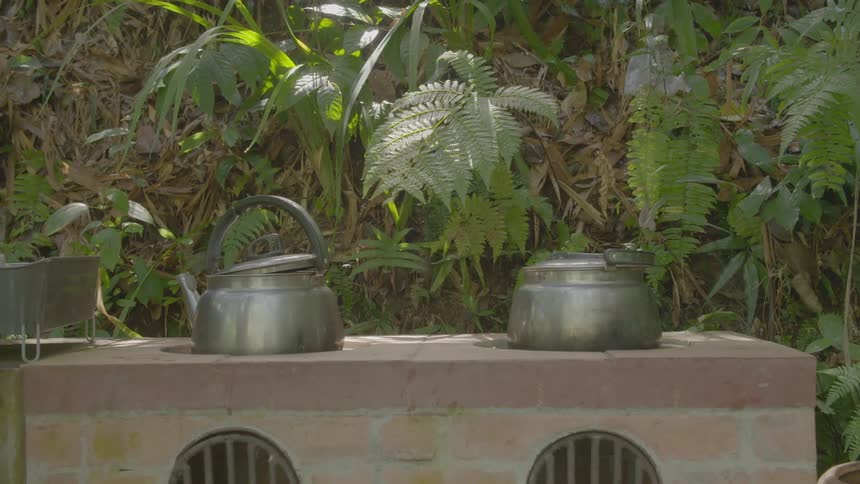 Plants and kettles in an outdoor cooking area at a home