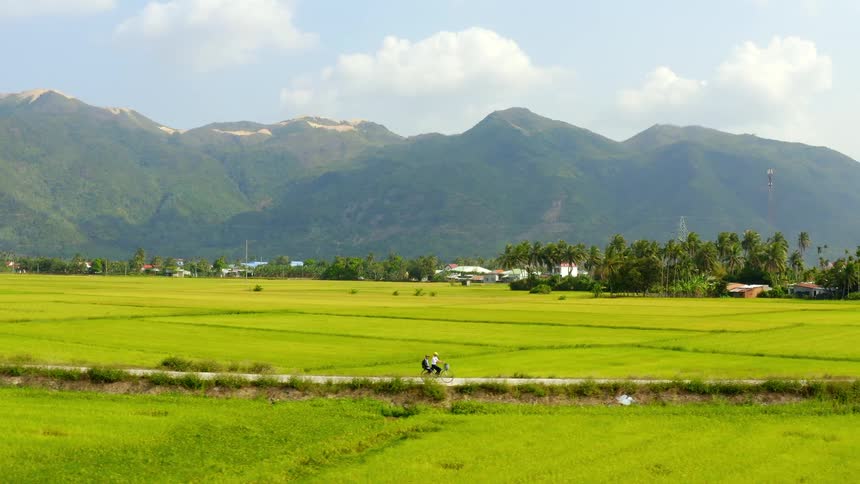 Two people ride a bike along a road next to a field