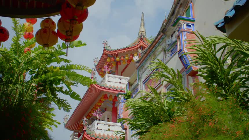 Plants and flowers in the foreground with buildings the sky and clouds in the background