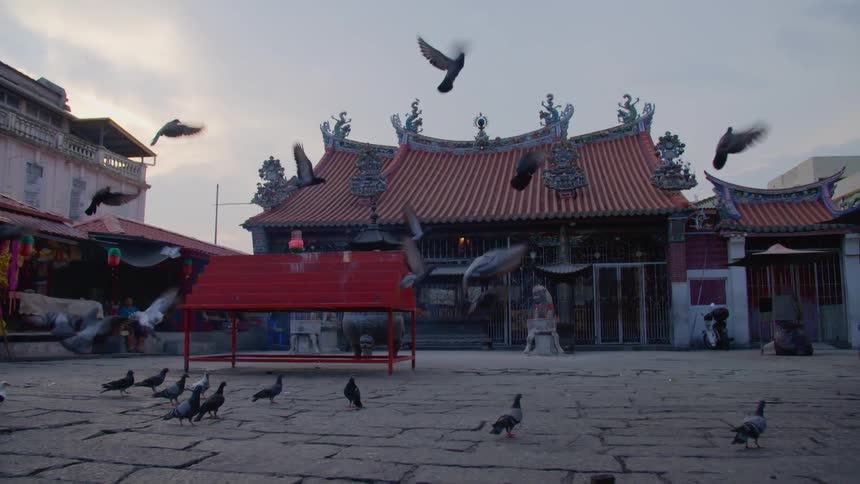 Birds flock at an outdoor market as a person stands and watches them