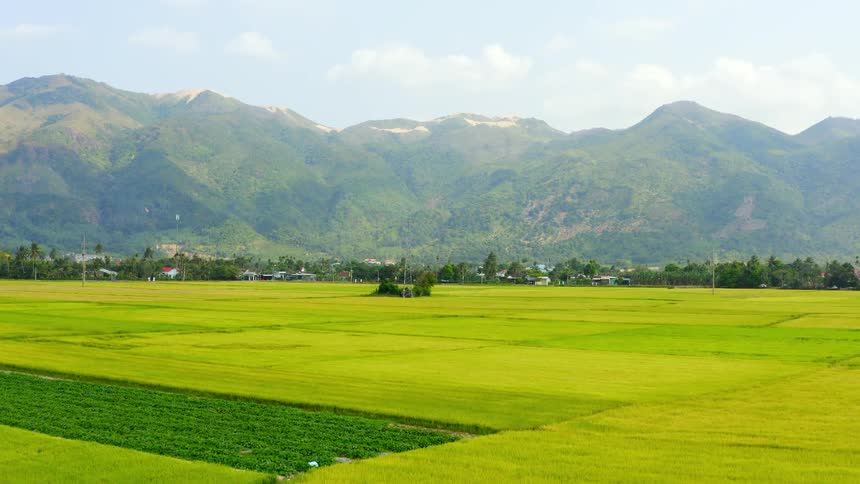 A large farmland between a marsh and a small country town