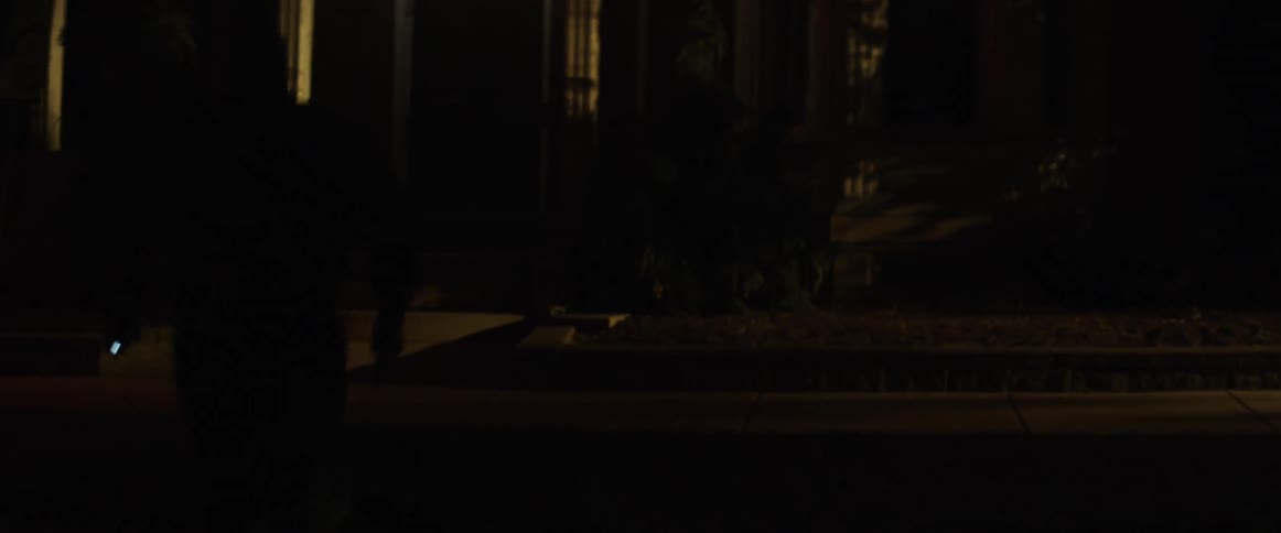A person carrying a flashlight runs up to a house at night
