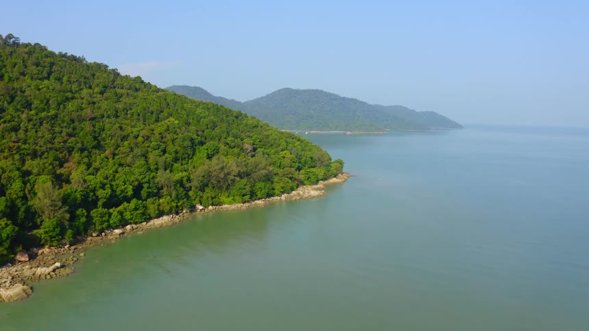 Aerial view of a forest off the coast and a lake