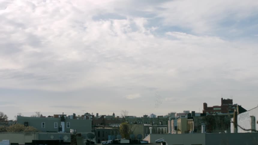 Birds fly over a neighborhood on a cloudy day