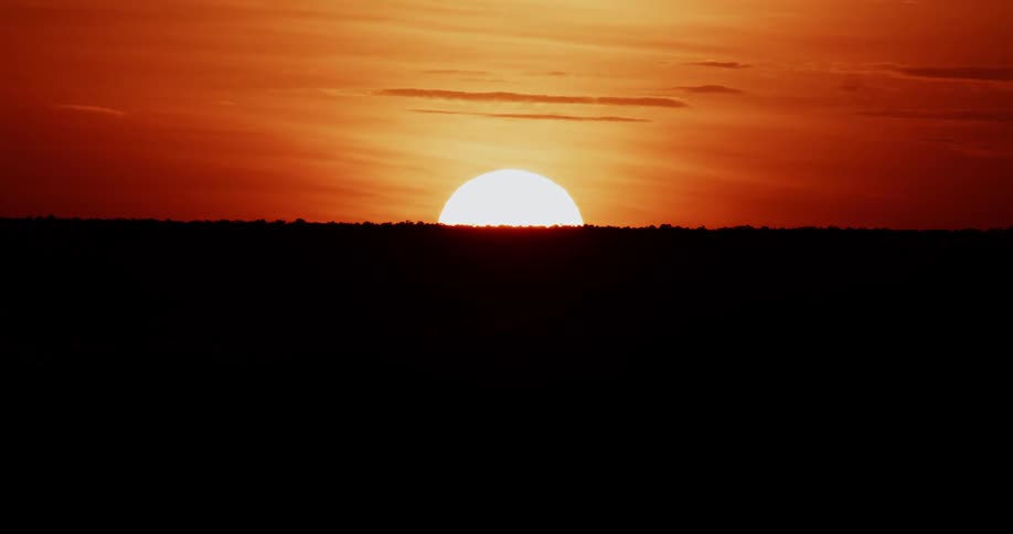 The sun rising on the horizon