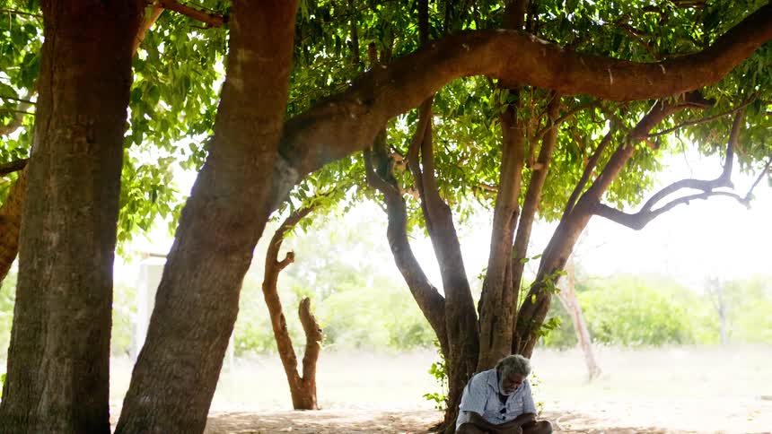 A elderly man sitting on a blanket under a tree paints on a leather hide