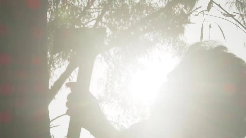 Bright sunlight shines down on a man striking a tree trunk with a hatchet
