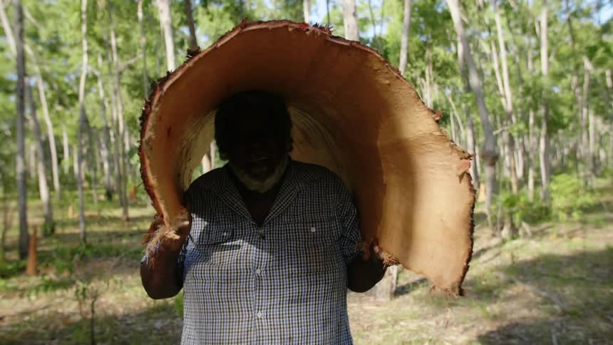 A man breathes heavily with mouth open as he carries a curved tree trunk bark over his head