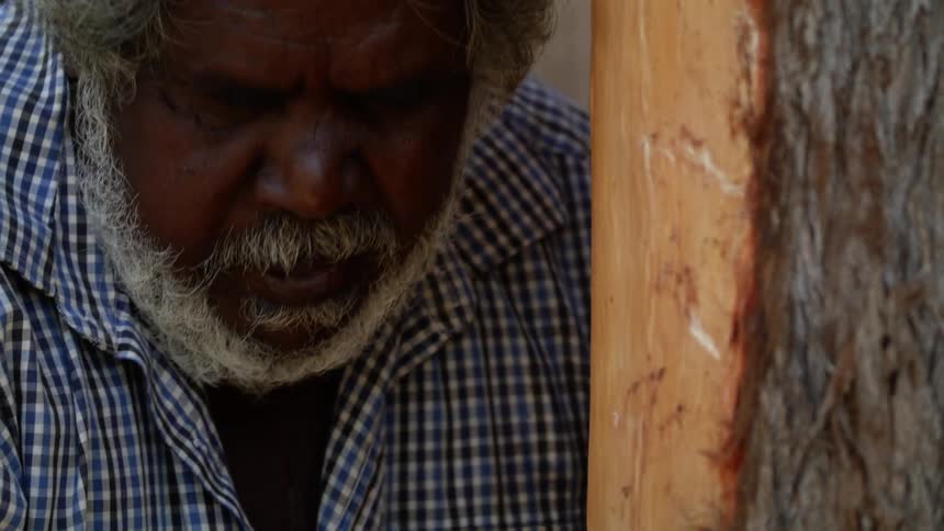 Man pushes against cut tree with bark on one side