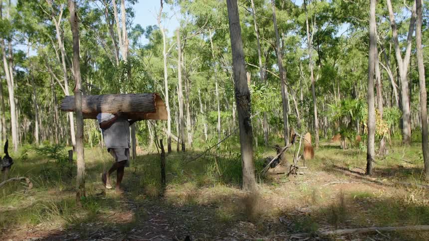 A man carrying a bark for art in the forest