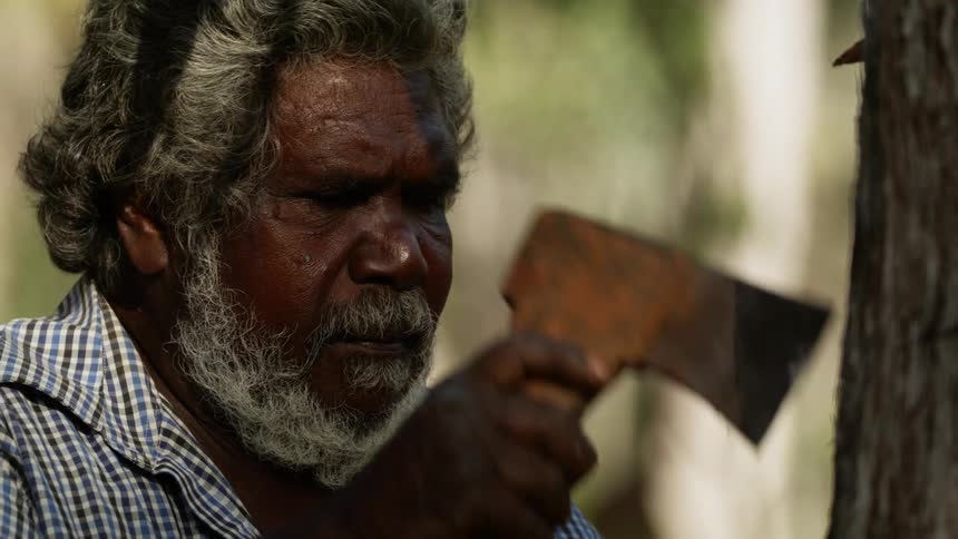 A man cutting at a tree with an ax