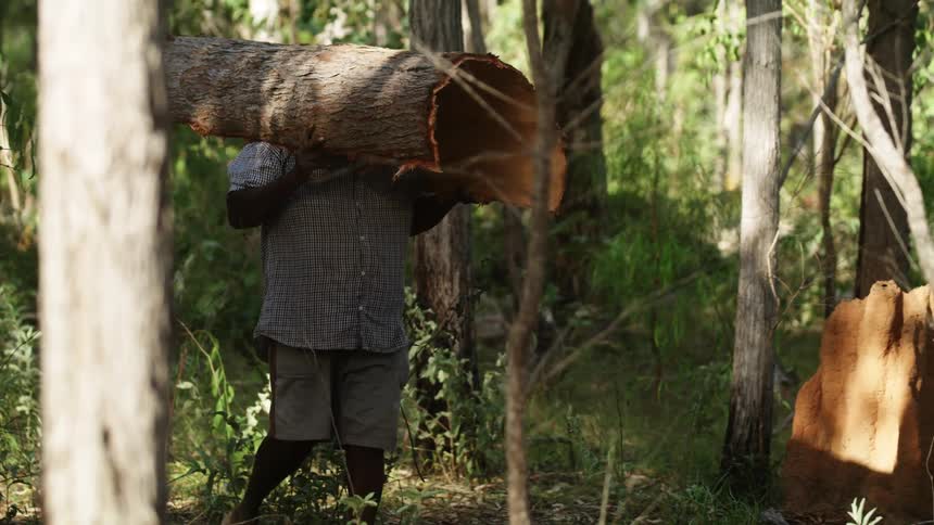 A man wearing shorts and flip flops walks through the woods carrying the curved bark of a tree trunk over his head