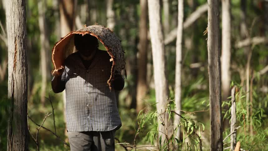 A man walks through a forest while holding a large piece of tree bark over his head
