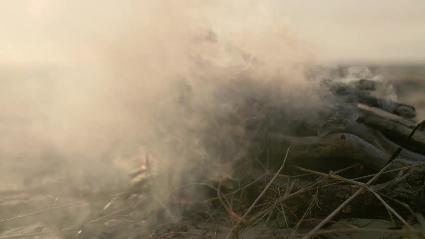 A smoking pile of wood outdoors on a cloudy day
