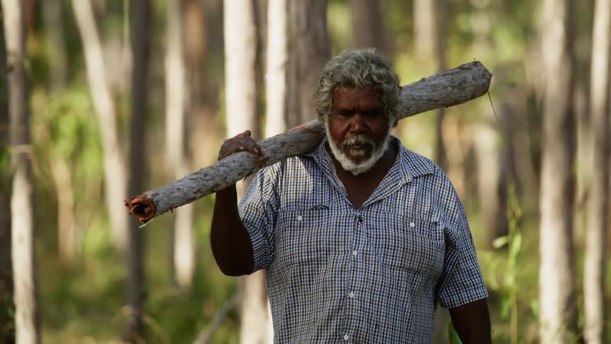 A man walks out of a forest with a thick tree branch over his shoulder