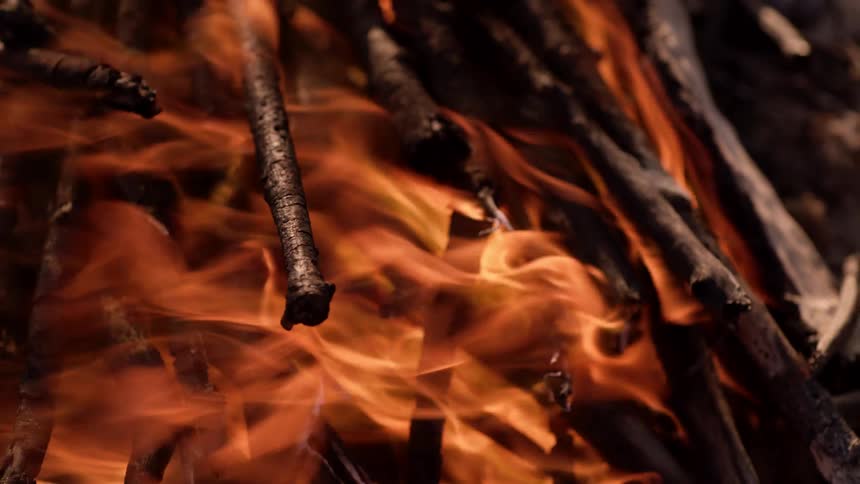 A burning stack of branches outdoors during the day