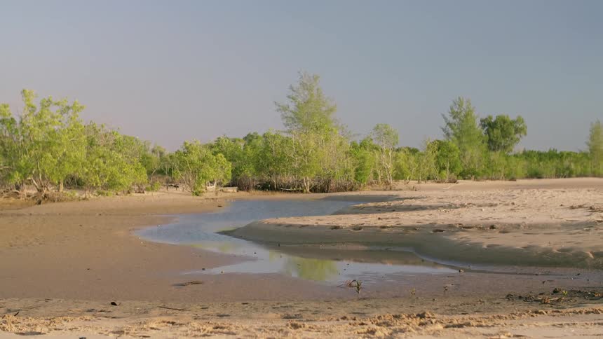 Water on bank reflects trees and sky
