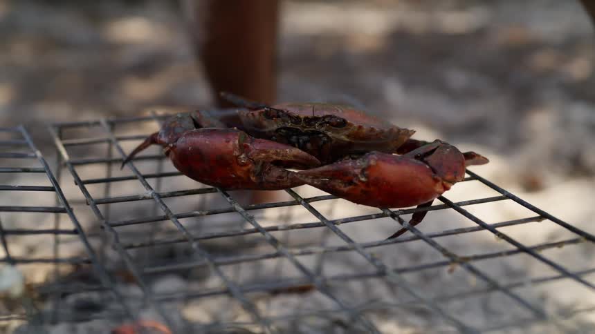 A man puts a crab over an open flame outside to cook it
