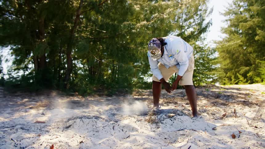 Man with a cap a blue shirt and shorts lights a fire on the beach