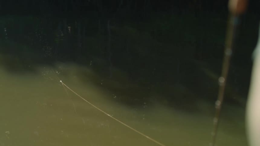 A man fishing on the shore