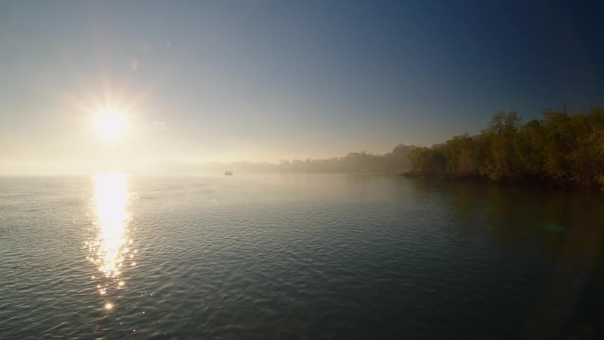 The sun reflects off the surface of the ocean just off the coast of a forest